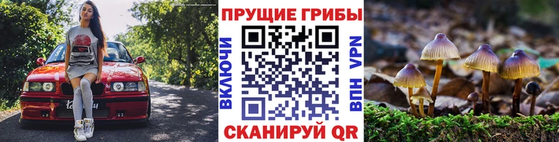 Купить закладки Ветлуга Псилоцибиновые грибы Magic Shrooms